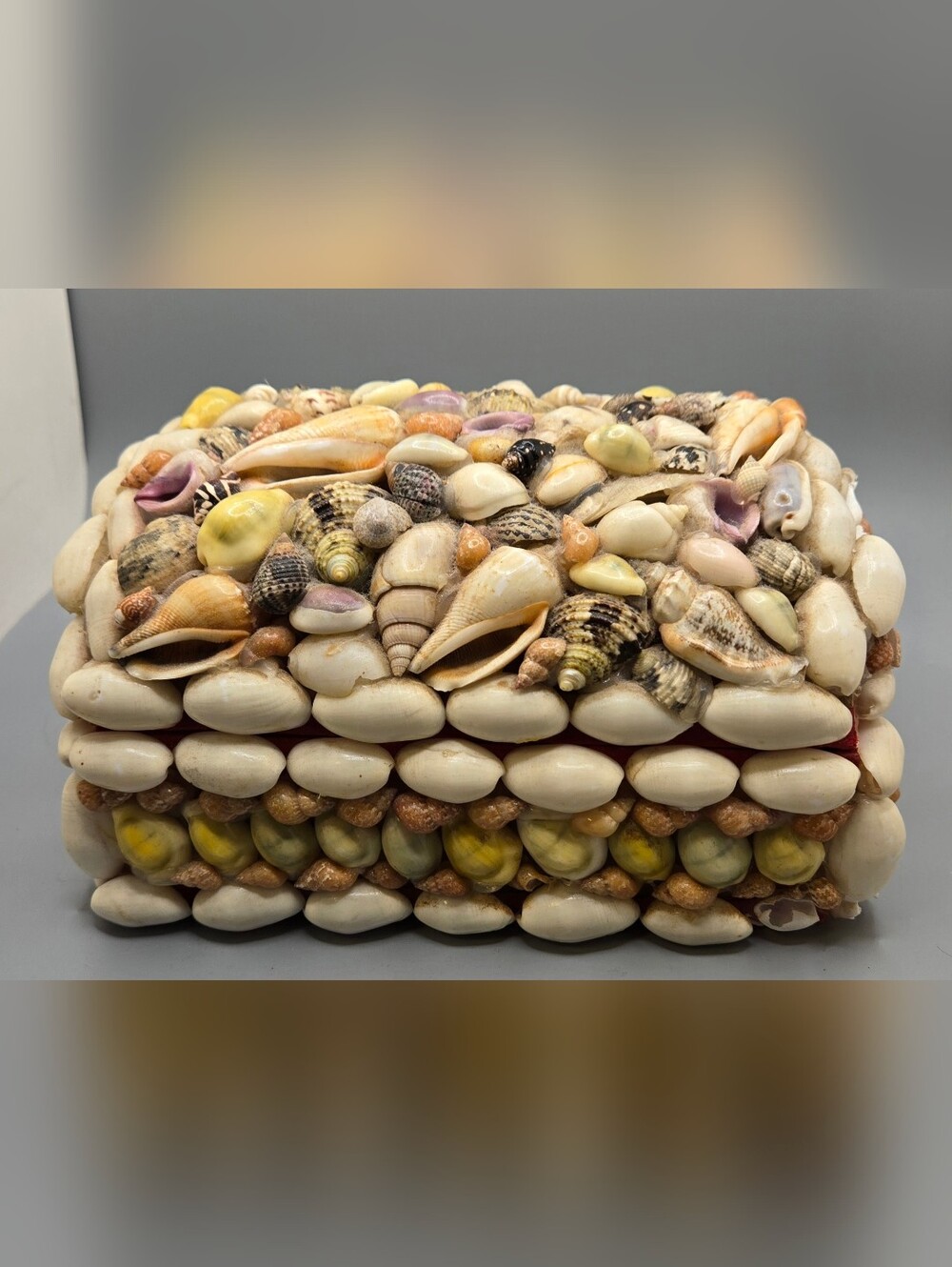 Handmade Seashell Jewelry Box Organizer Circa 1950s Kitsch